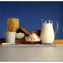 Food preservatives in dairy products